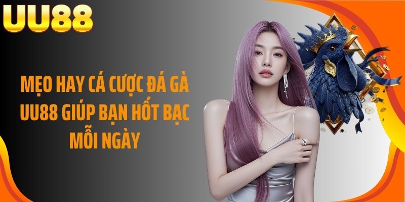 Mẹo hay cá cược đá gà UU88 giúp bạn hốt bạc mỗi ngày